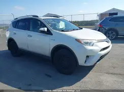 JTMDJREV1GD025547 2016 TOYOTA RAV 4