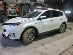 JTMDJREV1GD040663 2016 TOYOTA RAV 4