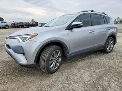 JTMDJREV1HD095292 2017 TOYOTA RAV 4