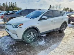 JTMDJREV1HD137394 2017 TOYOTA RAV 4