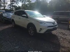 JTMDJREV3GD053897 2016 TOYOTA RAV 4