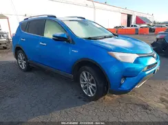 JTMDJREV3HD077795 2017 TOYOTA RAV 4