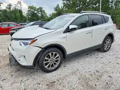 JTMDJREV4HD106804 2017 TOYOTA RAV 4