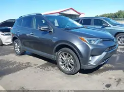 JTMDJREV4HD143593 2017 TOYOTA RAV 4