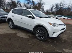 JTMDJREV4HD144307 2017 TOYOTA RAV 4