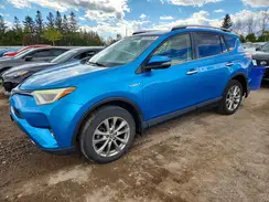 JTMDJREV5GD003504 2016 TOYOTA RAV 4