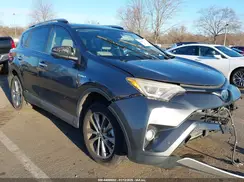JTMDJREV5GD037667 2016 TOYOTA RAV 4