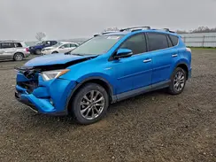 JTMDJREV5GD047163 2016 TOYOTA RAV 4