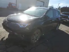 JTMDJREV5HD070539 2017 TOYOTA RAV 4