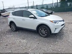 JTMDJREV6GD003527 2016 TOYOTA RAV 4