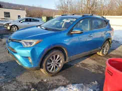 JTMDJREV7GD004671 2016 TOYOTA RAV 4