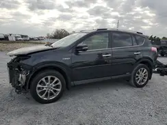 JTMDJREV7GD024483 2016 TOYOTA RAV 4