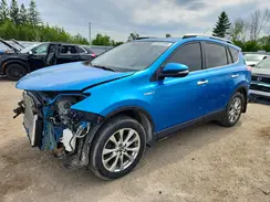 JTMDJREV7GD030302 2016 TOYOTA RAV 4