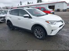 JTMDJREV7HD117585 2017 TOYOTA RAV 4