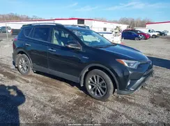 JTMDJREV7HD122544 2017 TOYOTA RAV 4