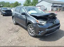 JTMDJREV9GD038465 2016 TOYOTA RAV 4