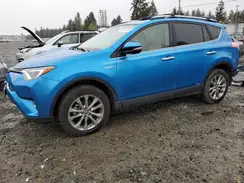 JTMDJREV9HD068549 2017 TOYOTA RAV 4