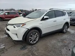 JTMDJREV9HD140494 2017 TOYOTA RAV 4