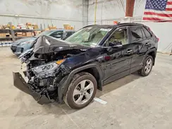 JTMDWRFV0KJ010368 2019 TOYOTA RAV 4