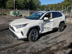 JTMDWRFV3LD059290 2020 TOYOTA RAV 4