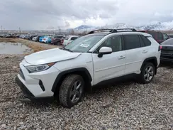 JTMDWRFV5KD504403 2019 TOYOTA RAV 4