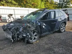 JTMDWRFV6KD516382 2019 TOYOTA RAV 4