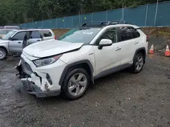 JTMDWRFVXKD515302 2019 TOYOTA RAV 4