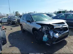 JTME6RFV0PD538101 2023 TOYOTA RAV 4