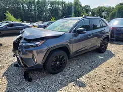 JTME6RFV0PD542603 2023 TOYOTA RAV 4