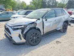 JTME6RFV0PJ033905 2023 TOYOTA RAV 4