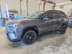 JTME6RFV0RD550798 2024 TOYOTA RAV 4