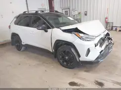 JTME6RFV0RD551160 2024 TOYOTA RAV 4