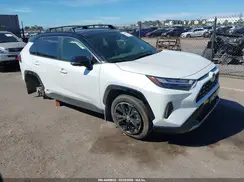 JTME6RFV0RD552566 2024 TOYOTA RAV 4