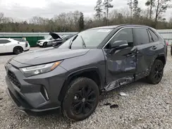 JTME6RFV0RD560232 2024 TOYOTA RAV 4