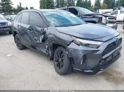 JTME6RFV1PJ038238 2023 TOYOTA RAV 4