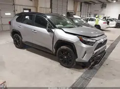 JTME6RFV1RD560675 2024 TOYOTA RAV 4