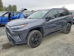 JTME6RFV1RD561485 2024 TOYOTA RAV 4