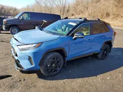JTME6RFV1RD561664 2024 TOYOTA RAV 4