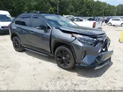 JTME6RFV2RD561284 2024 TOYOTA RAV 4