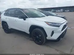 JTME6RFV2RD568929 2024 TOYOTA RAV 4