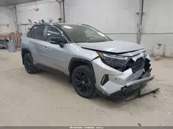 JTME6RFV2RJ050904 2024 TOYOTA RAV 4