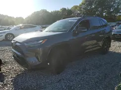 JTME6RFV3RD556322 2024 TOYOTA RAV 4