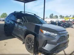JTME6RFV3RD568115 2024 TOYOTA RAV 4
