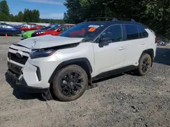 JTME6RFV3RJ055058 2024 TOYOTA RAV 4