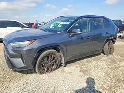 JTME6RFV4PD546864 2023 TOYOTA RAV 4
