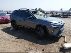 JTME6RFV4PJ031686 2023 TOYOTA RAV 4