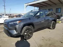 JTME6RFV4RD550464 2024 TOYOTA RAV 4