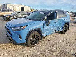 JTME6RFV4RD568236 2024 TOYOTA RAV 4
