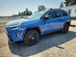 JTME6RFV4RJ059782 2024 TOYOTA RAV 4