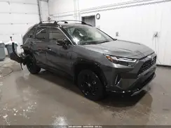 JTME6RFV5RD557732 2024 TOYOTA RAV 4
